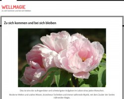 Wellmagie Webseite
